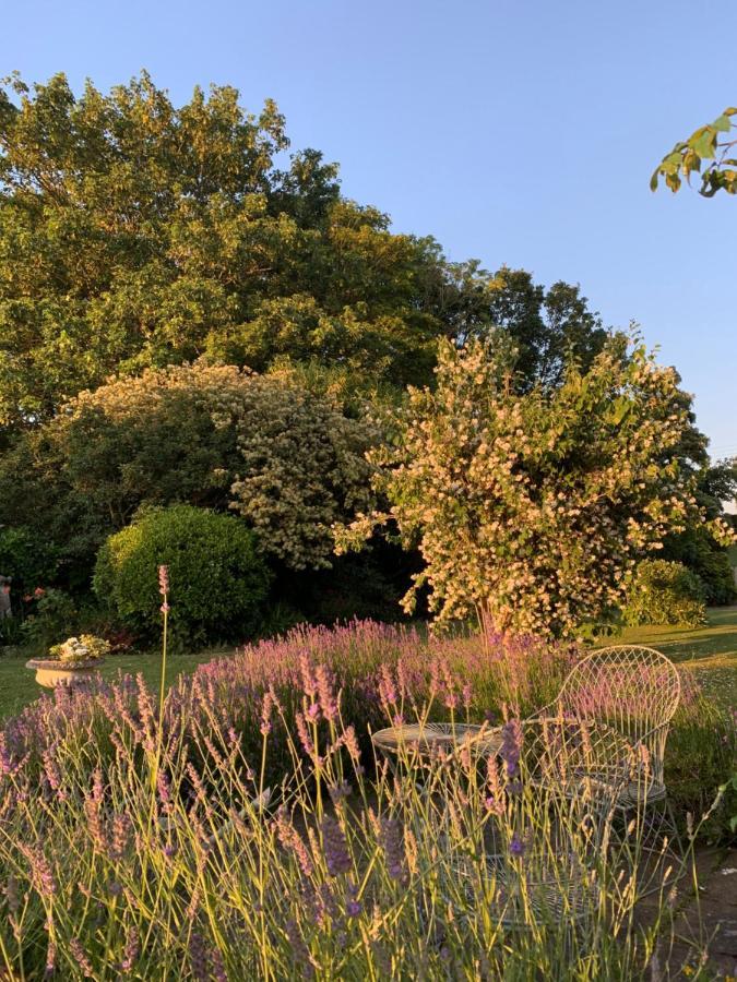 Cary Fitzpaine House Bed & Breakfast Babcary Екстериор снимка
